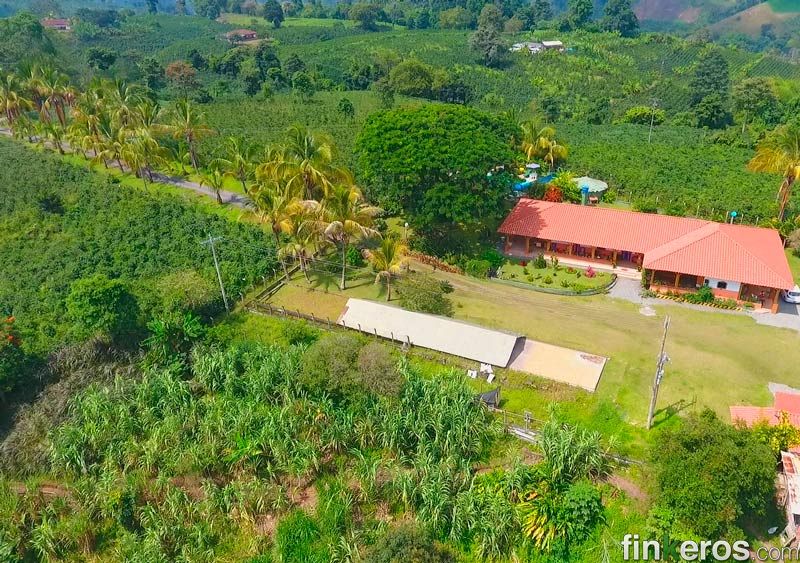 Finca Calarca Margarita - Finca en Calarcá, Quindío